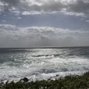 해맞이승마클럽 | 이스틀리카페&amp;현애원 , 비자림(비자나무숲) , 뱅듸승마클럽 , 카페오르다 , 종가전복 , 올레길해녀의집 ]