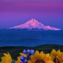 칠성여인숙 이미지