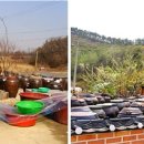 성장농장 이미지