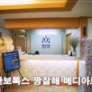 세미타이어 이미지