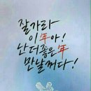 선경문구 이미지