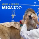 (주)피터펫 이미지