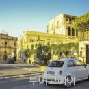 트로페아 이미지