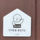 ☆신방화역 카페_메종드그릭 마곡°그릭요거트와 아사이볼의 만남