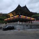 각원사길 | 천안 아산 겹벚꽃 명소 &lt;각원사&gt; 4월 봄꽃 국내 여행지 추천