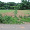 숲마을농원 이미지