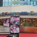 경보(커파우스/주차장) 이미지