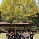 도담소리숲 유치원 | [숲체험] 울긋불긋🍂 가을 숲에서 놀아요~😄(도담유치원/2동탄유치원)