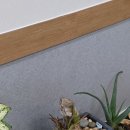 촉공인중개사사무소 이미지