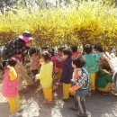 꽃바위어린이집 이미지