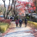 시 월 열 이레 날 운세 이미지