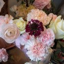 피아노숲 이미지