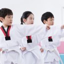 고구려 태권도 이미지