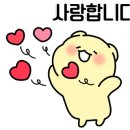 댕댕이 커트방 이미지