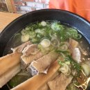 원당 맛집 일산황금설렁탕 방문 후기