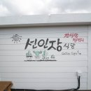 선인장식당 이미지