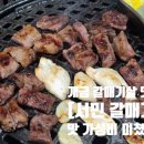 서민갈매기 이미지