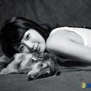 닥스훈트 네이버블로그