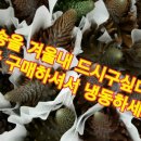 대랑농장 이미지