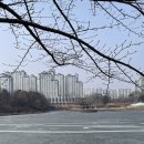 운정호수 수변카페 인근 | 파주 여행지 야당 놀거리 운정호수공원 주차 힐링 데이트 코스