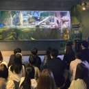 아쿠아빌딩 이미지