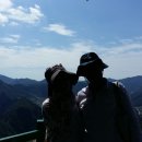 동강할미꽃펜션 이미지