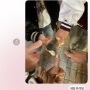 [2025년 04월 일상] 下 20250414-20250430