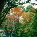 아양사랑숲 이미지