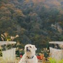 감귤박물관 야외화장실 이미지