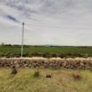 용수리머물다 이미지