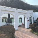 이다의숲 이미지