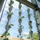 말밭농장 이미지