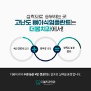 홍천치과의원 네이버블로그