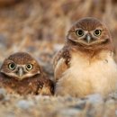 OWL하우스 이미지