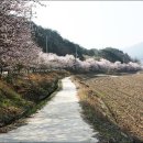 병곡초등학교 이미지