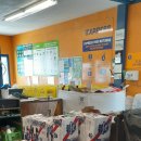 Pabst Blue Ribbon Beer 이미지