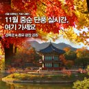 경복궁 단풍 실시간 2025 서울 단풍 명소 코스 추천 종묘 앞 광장공원까지