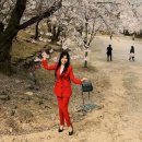 소리마당 이미지