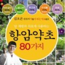 동의보감민박 네이버블로그