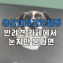 푸름피크닉 이미지