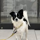 청솔2목장 이미지