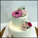 전문교육과정(생활요리&홈베이킹) | 동성로제과제빵학원 대입 수시 대비, 고등학생 자격증 수강료 및 후기