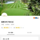 알펜시아스크린골프 이미지