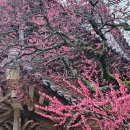 남도버스㈜ 이미지