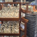 아모레관광 이미지