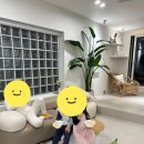 마이올제주 풀빌라 감성숙소 이미지