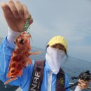 광명낚시 | [여가] 제주도 배낚시 체험배낚시 광명호, 아빠랑 함께 타이라바 낚시 후기