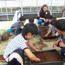 고인돌작은도서관 이미지