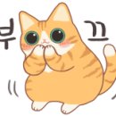 까페카리타스2
