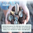 화산어촌체험마을 이미지